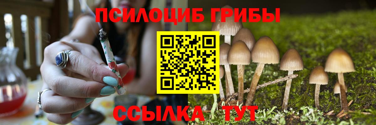 Еманжелинск  Галлюциногенные грибы Cubensis  Вход с VPN 